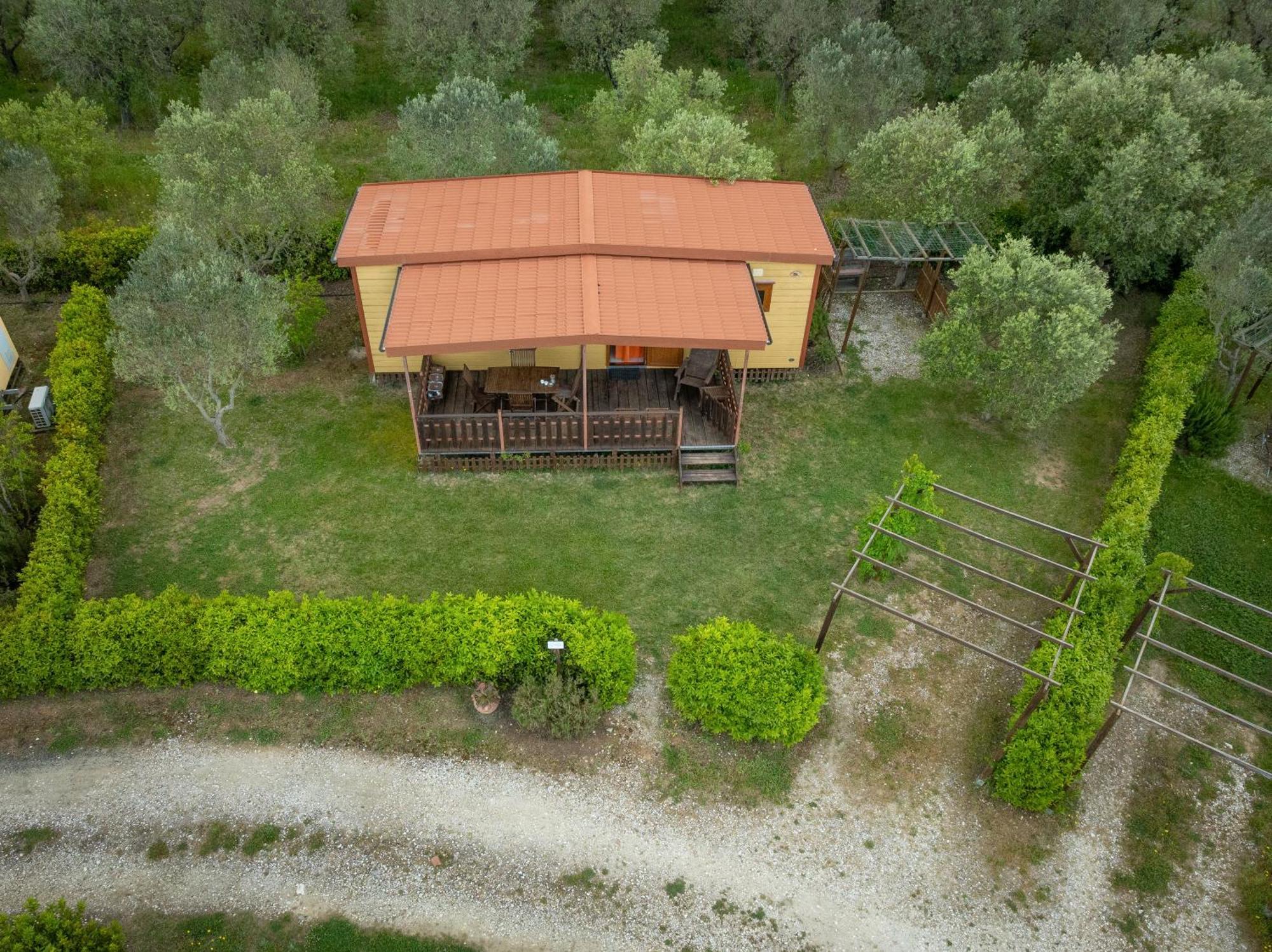 Agriturismo Nonna Stella Bibbona Exterior foto